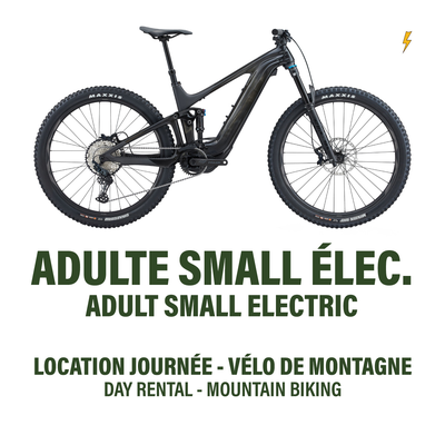 Day E-Bike Rental - Double Suspension - Small