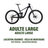 Large - Double Suspension Mountain Bike - Day Rental