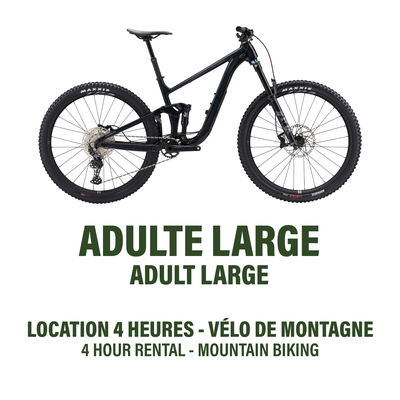 Large - Double Suspension Mountain Bike - 4h Rental