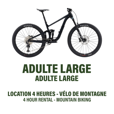 Large - Double Suspension Mountain Bike - 4h Rental